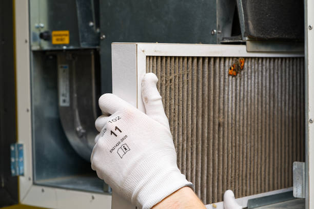 Best Home Air Vent Cleaning  in Larksville, PA